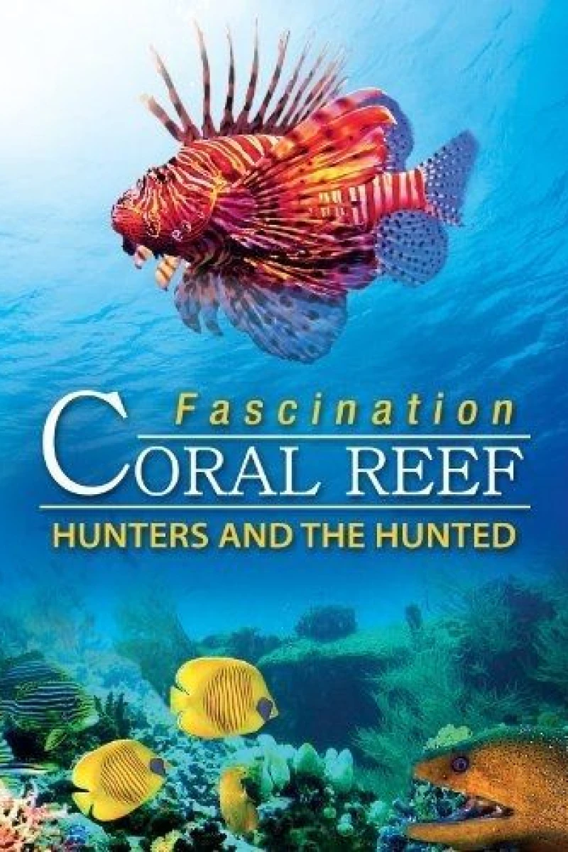 Fascination Coral Reef 3D: Hunters the Hunted Póster